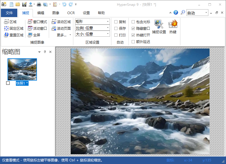 HyperSnap 捕获菜单